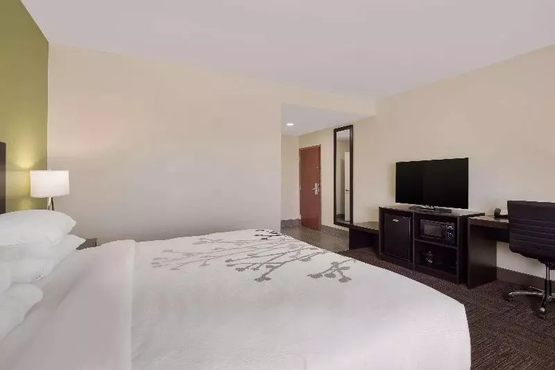 身障者適用キングサイズベッドルーム, Sleep Inn & Suites North Mobile Saraland