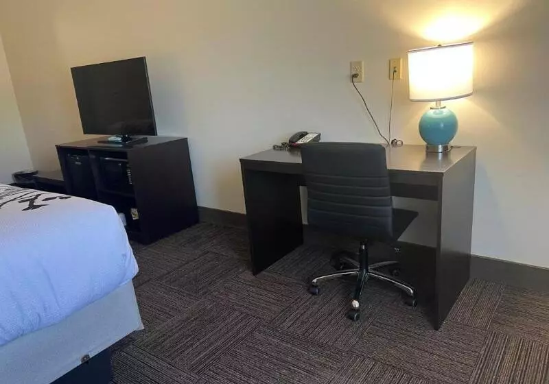 身障者適用キングサイズベッドルーム, Sleep Inn & Suites North Mobile Saraland