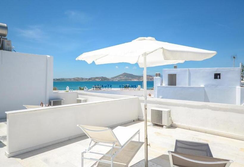 Номер Стандарт с Террасой, Soula Naxos