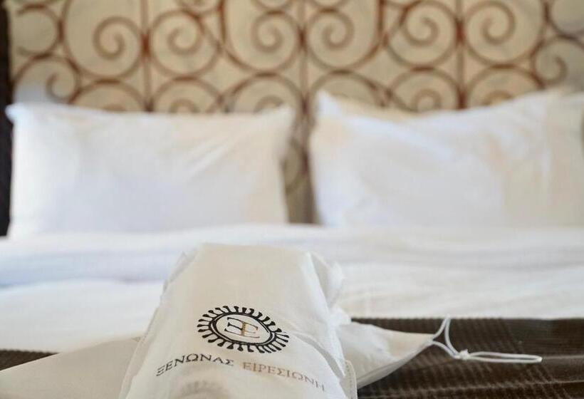 اتاق استاندارد, Xenonas Iresioni