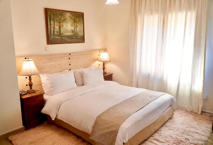 اتاق استاندارد, Xenonas Iresioni