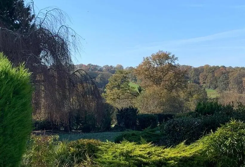 キングサイズベッドのデラックスルーム, Les Lauriers
