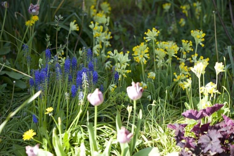 Номер Deluxe Кровать Кинг, Les Lauriers