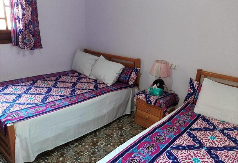 اتاق استاندارد, Ra Guest House