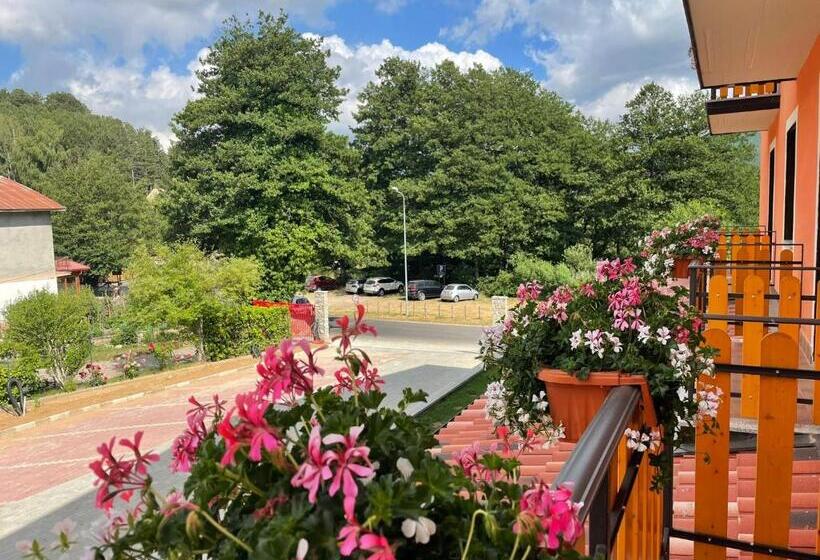 סטודיו דלוקס, Arvo Residence Sila Lorica