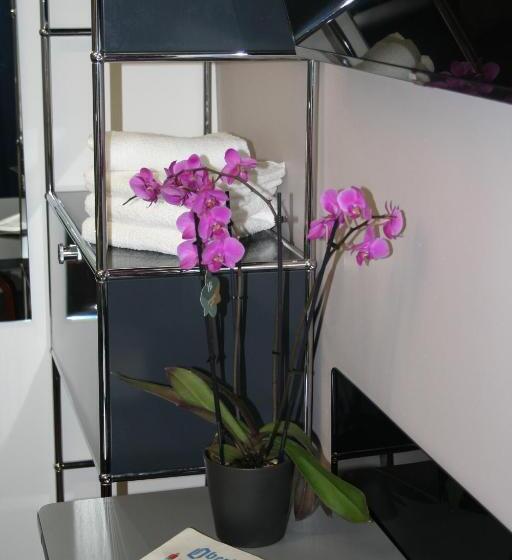 스탠다드 룸, Mar