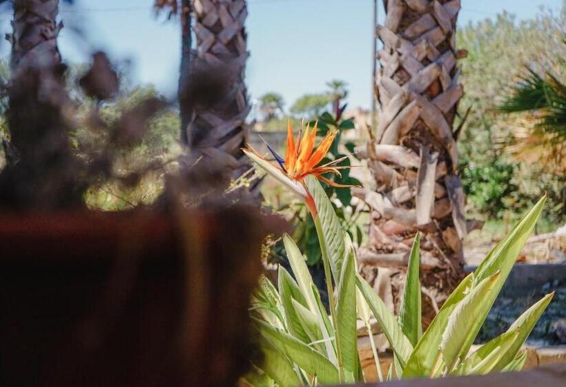 דירת שני חדרים, Home Fontanelle