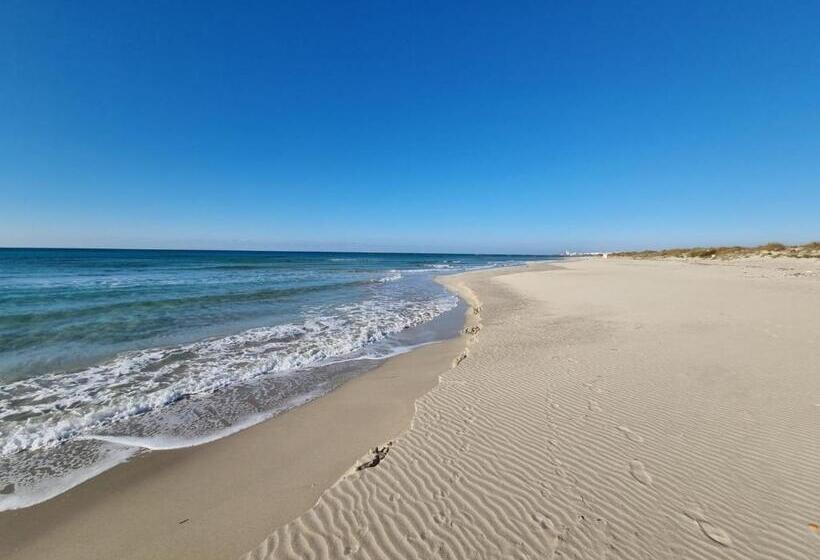 דירת שני חדרים, Home Fontanelle