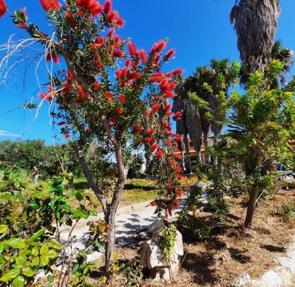 דירת שני חדרים, Home Fontanelle