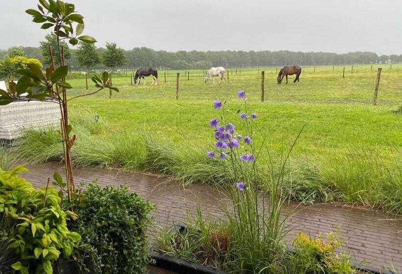 스탠다드 룸 킹사이즈 침대, T Heidepaleis