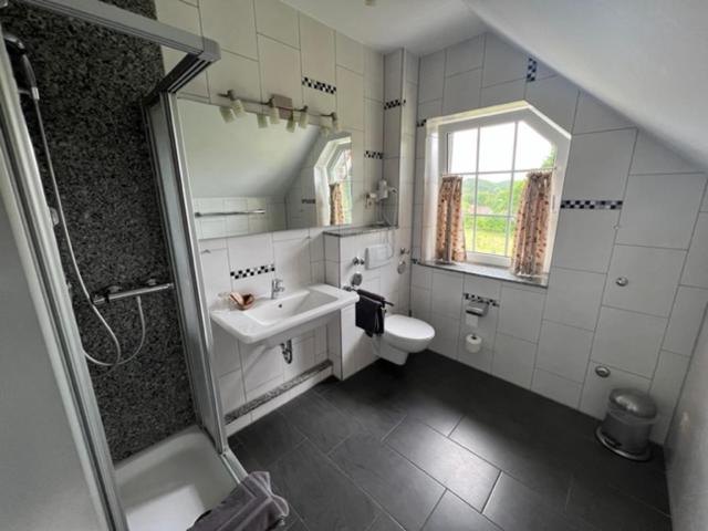 Номер Стандарт, Rehkitz