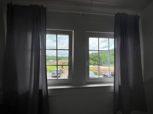 Студия Стандарт, Rehkitz