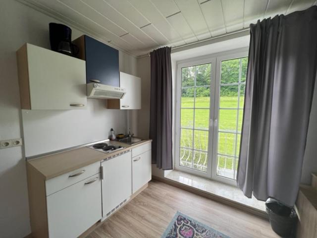 Студия Стандарт, Rehkitz