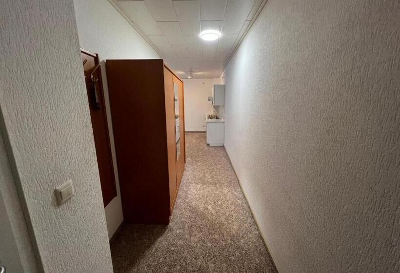 Студия Стандарт, Rehkitz