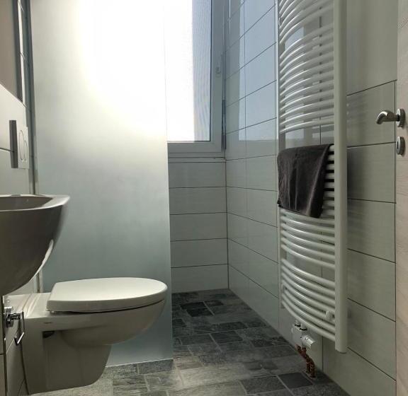 Apartament 1 Dormitor, Pension Gästehaus Kautz