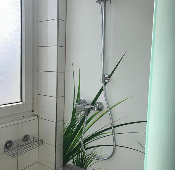 Apartament 1 Dormitor, Pension Gästehaus Kautz