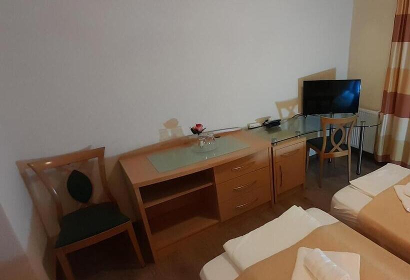 Номер Стандарт Вид на Сад, Pensiunea Energy