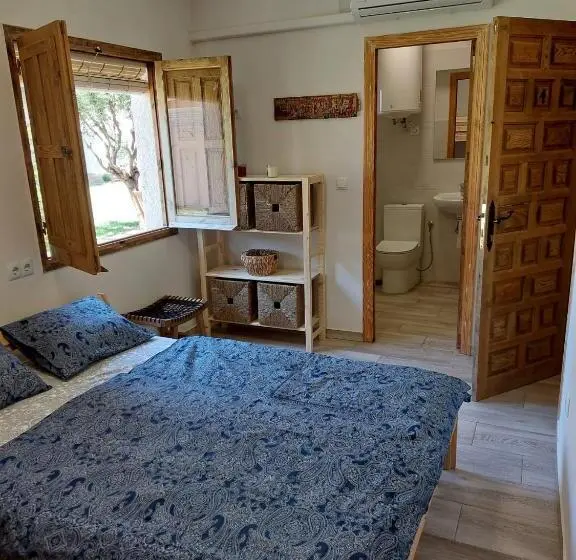 اتاق خانوادگی, Zenia Hostel