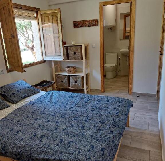 家庭间, Zenia Hostel