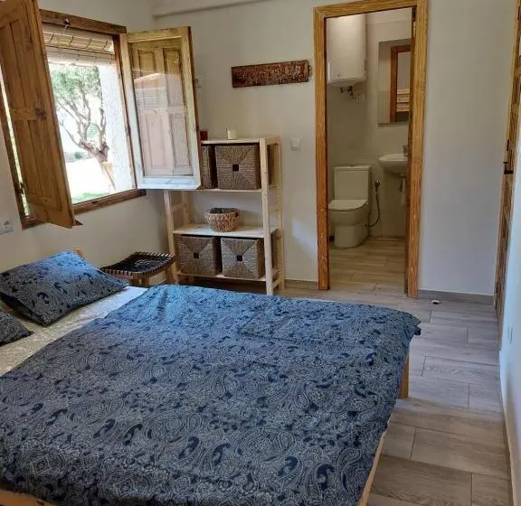 اتاق خانوادگی, Zenia Hostel