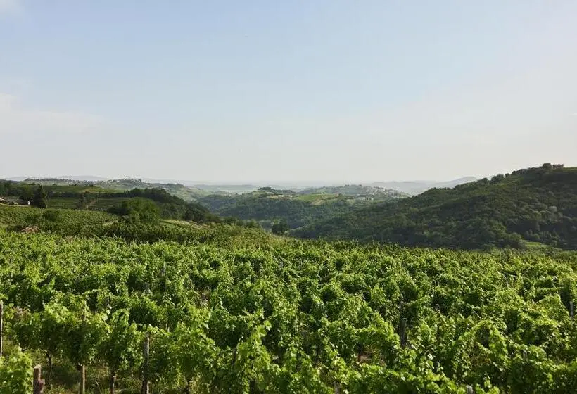 اتاق استاندارد با تراس, Peterc Vineyard Estate