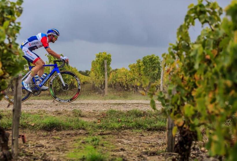 اتاق استاندارد, Peterc Vineyard Estate