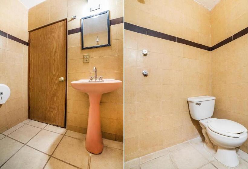 غرفة قياسية, Oyo  Bugambilia