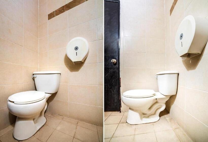 غرفة قياسية ثلاثية, Oyo  Bugambilia