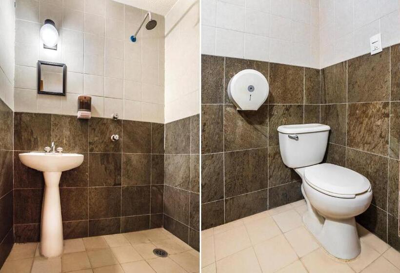 غرفة قياسية, Oyo  Bugambilia