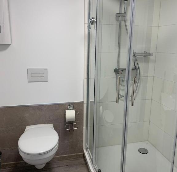 Номер Стандарт Индивидуальный, Pension Unikum Waldheim