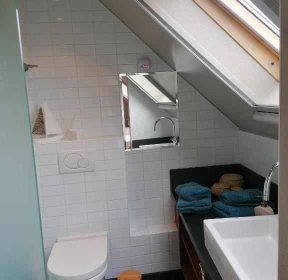 スタンダードルーム, Sea Me Ostend