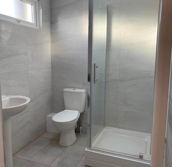 اتاق استاندارد با سرویس بهداشتی مشترک, Frances St House