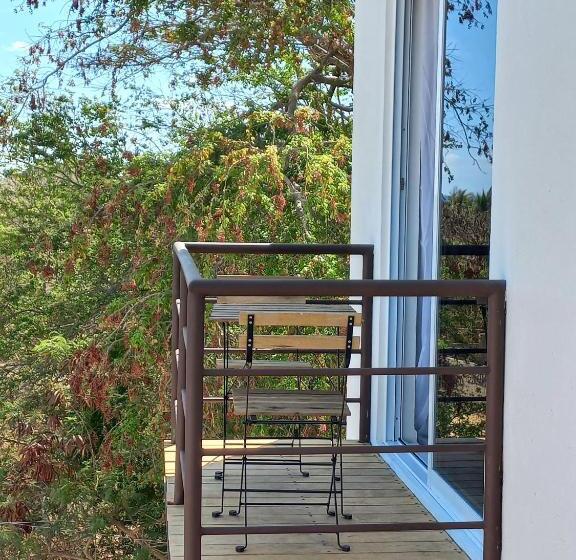 اتاق استاندارد, La Aurora Puerto Escondido