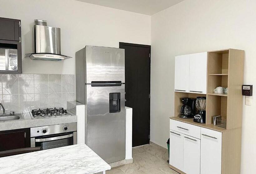 آپارتمان 1 خوابه با بالکن, La Aurora Puerto Escondido