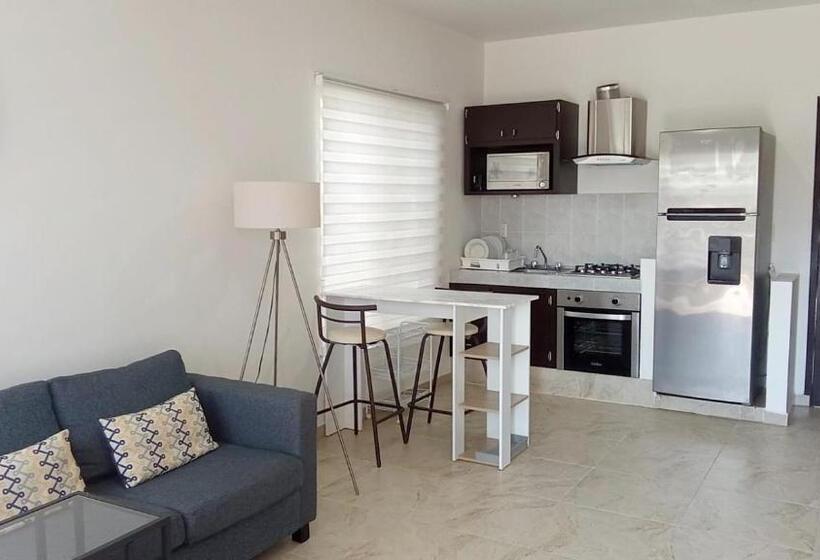 آپارتمان 1 خوابه با بالکن, La Aurora Puerto Escondido