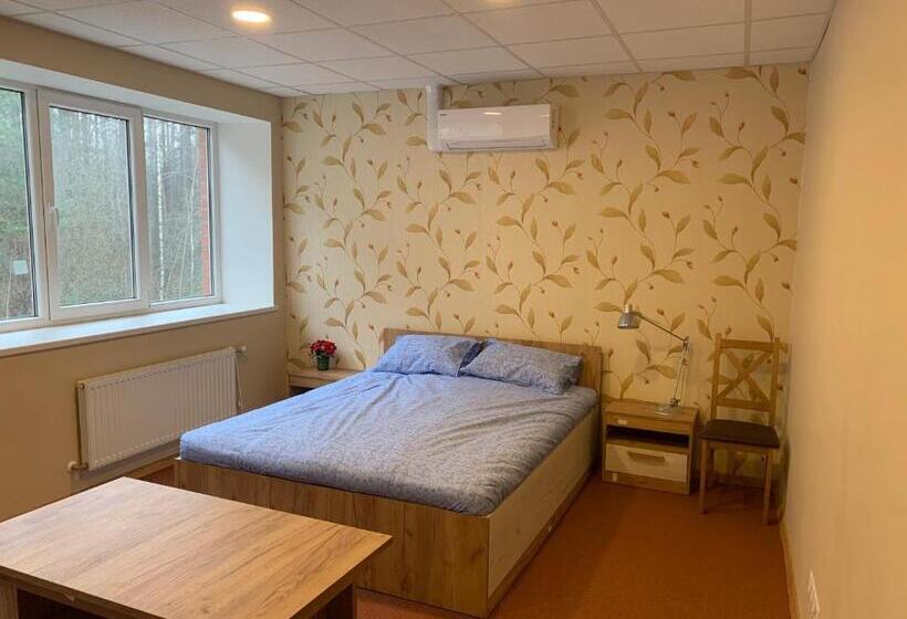 اتاق اکونومی, Motel Minerva