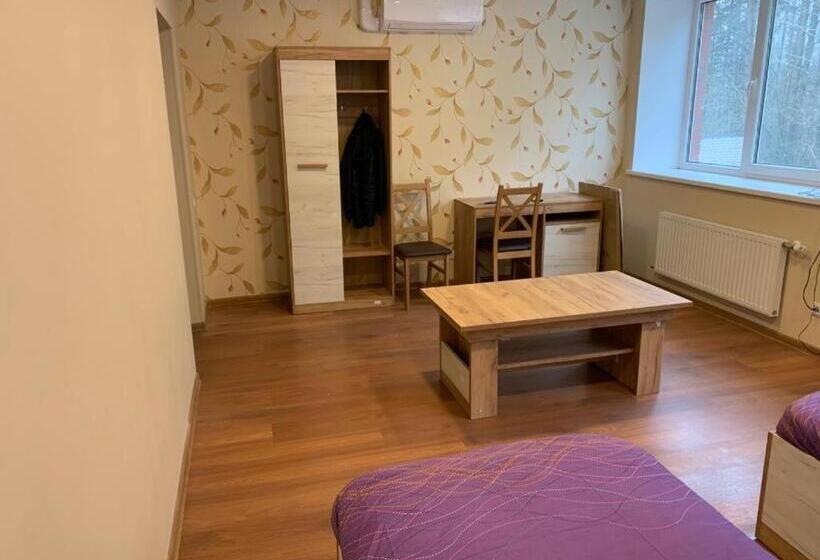 اتاق اکونومی, Motel Minerva