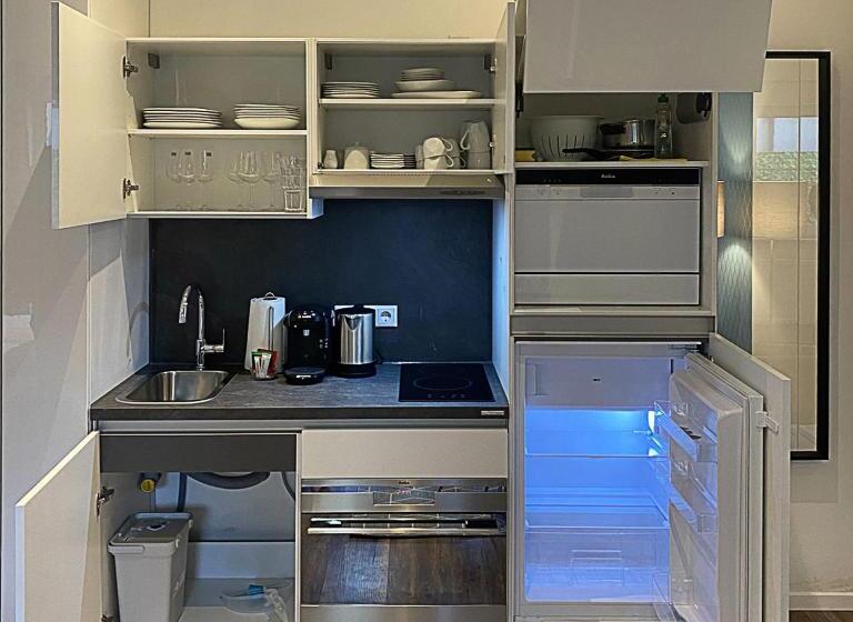 شقة سوبريور غرفة واحدة, Nurban Apartments Oldtown