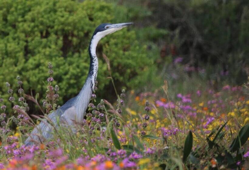침실 1개 주택, Abbotts Hill