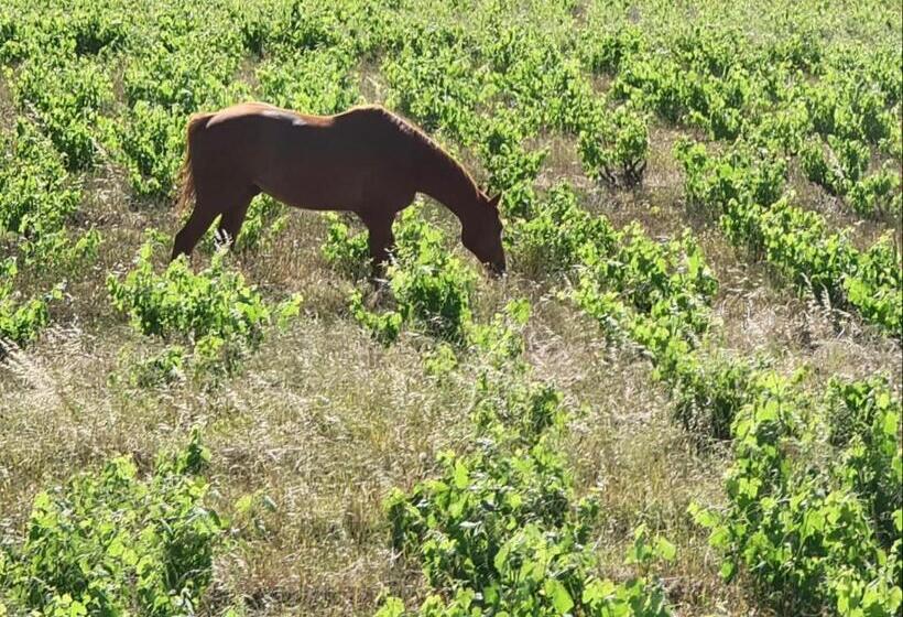 침실 1개 주택, Abbotts Hill