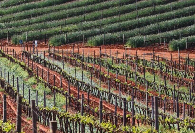 침실 1개 주택, Abbotts Hill