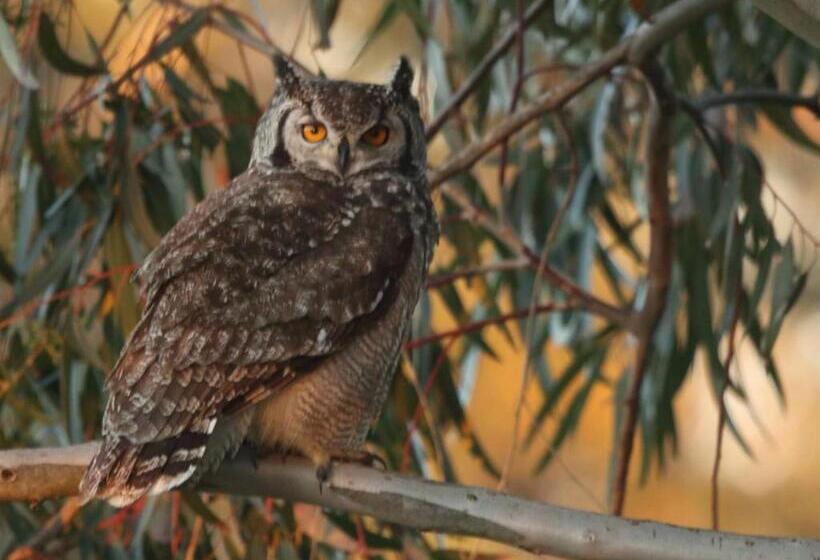 침실 1개 주택, Abbotts Hill