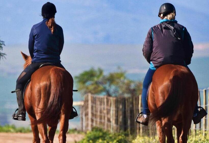 침실 1개 주택, Abbotts Hill