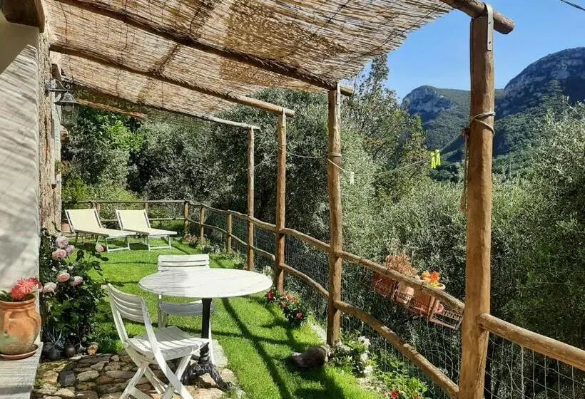 庭の見える1ベッドルームアパートメント, Guesthouse Contrada Bolla