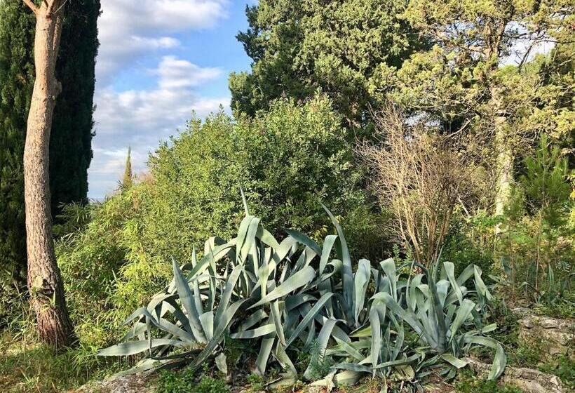 标准房带园景, Mas De Monge