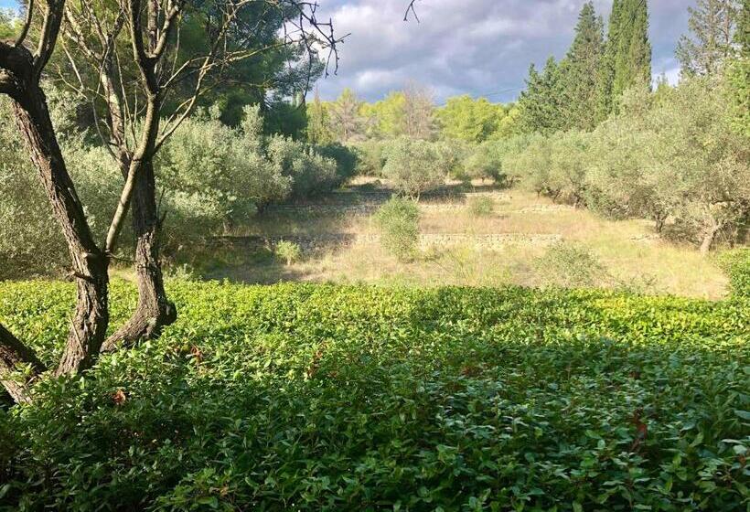 标准房带园景, Mas De Monge