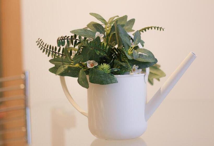 اتاق استاندارد, Wolf House Bnb