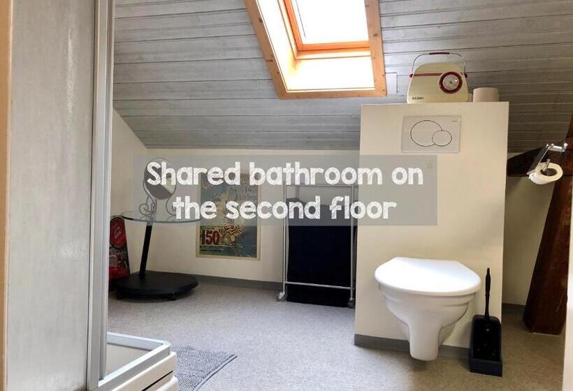 Номер Economy, Citylodge St Gallen 2 Min To Marktplatz