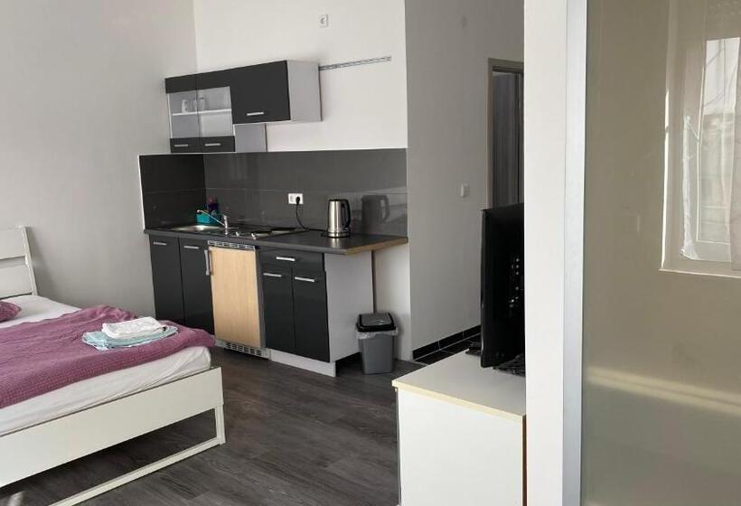 スタンダードルーム, Pension Neon