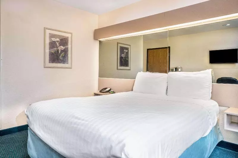 Chambre Standard, Alexandra Beach